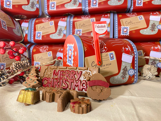 Caixa de Correio Natal Grande 🍫